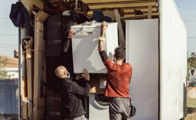 domestic-move-800x650