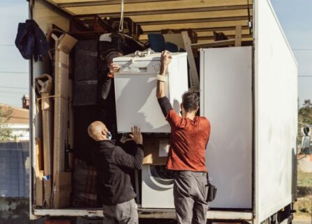 domestic-move-800x650