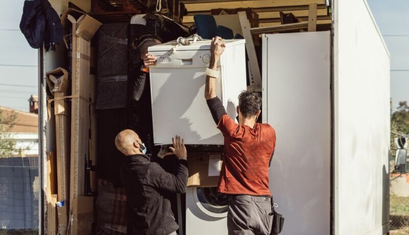 domestic-move-800x650